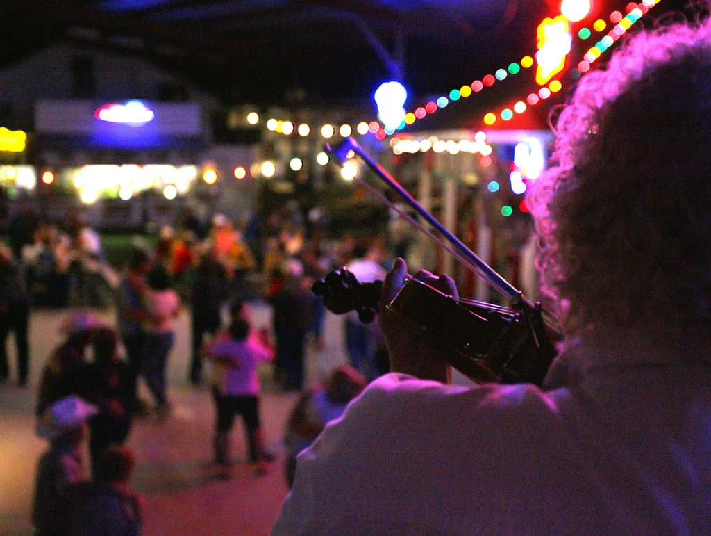 MUSIC 1 fiddler_zpst1urw576.jpg