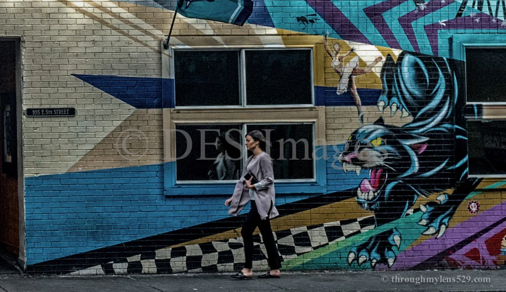 _DSF7343-Edit-2-2-2.jpg