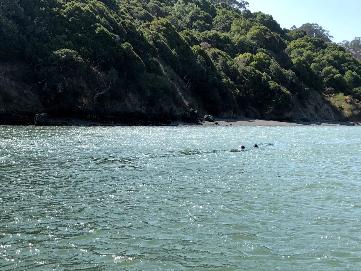 Angel Island 8.jpg