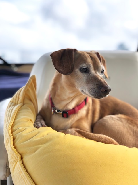 And In case you were wondering, Indy continues to live a life of luxury!