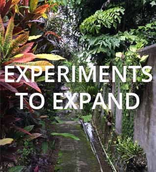 Experiments to expand-1.jpg