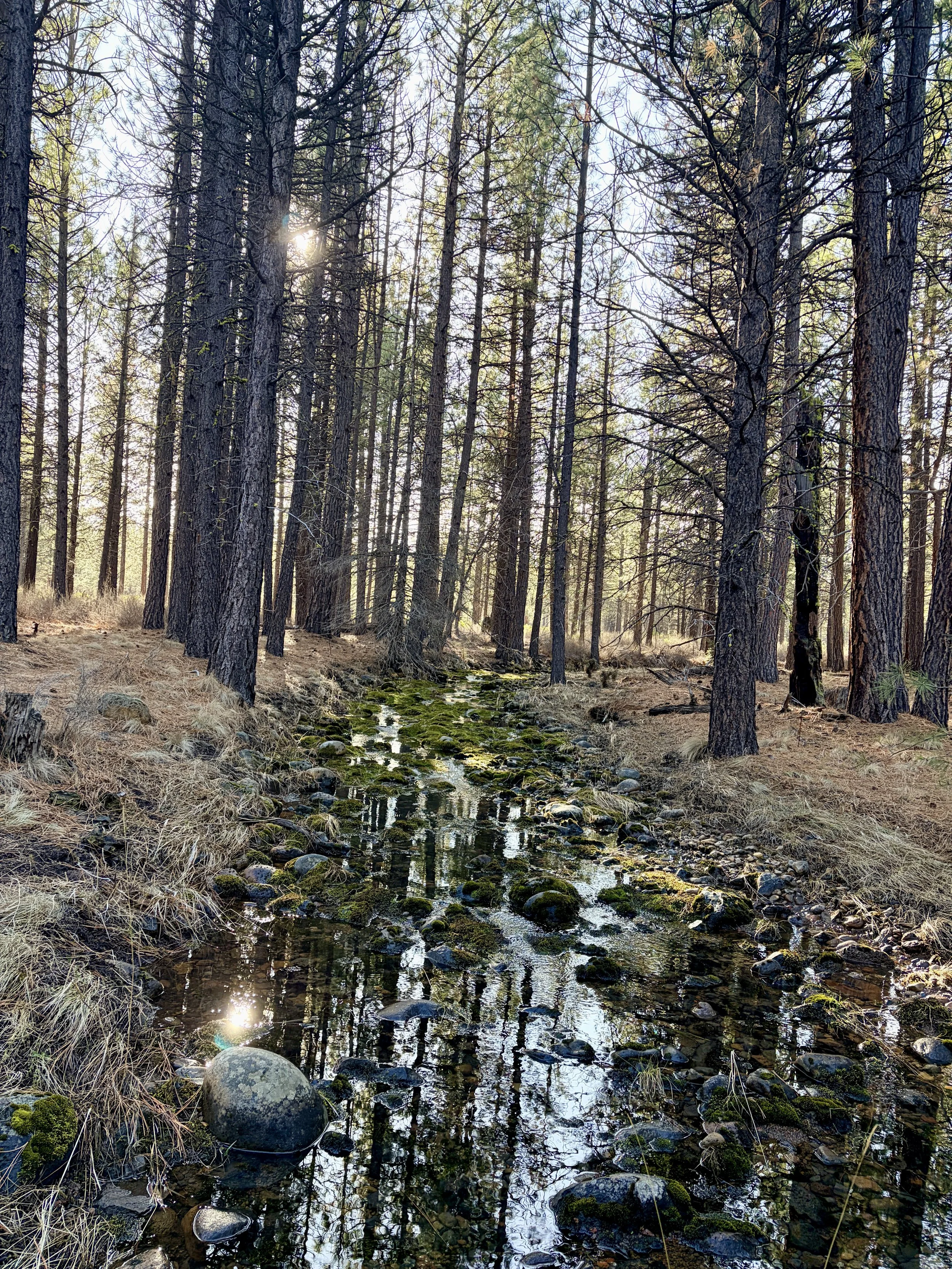 Do you realize how much influence you hold?