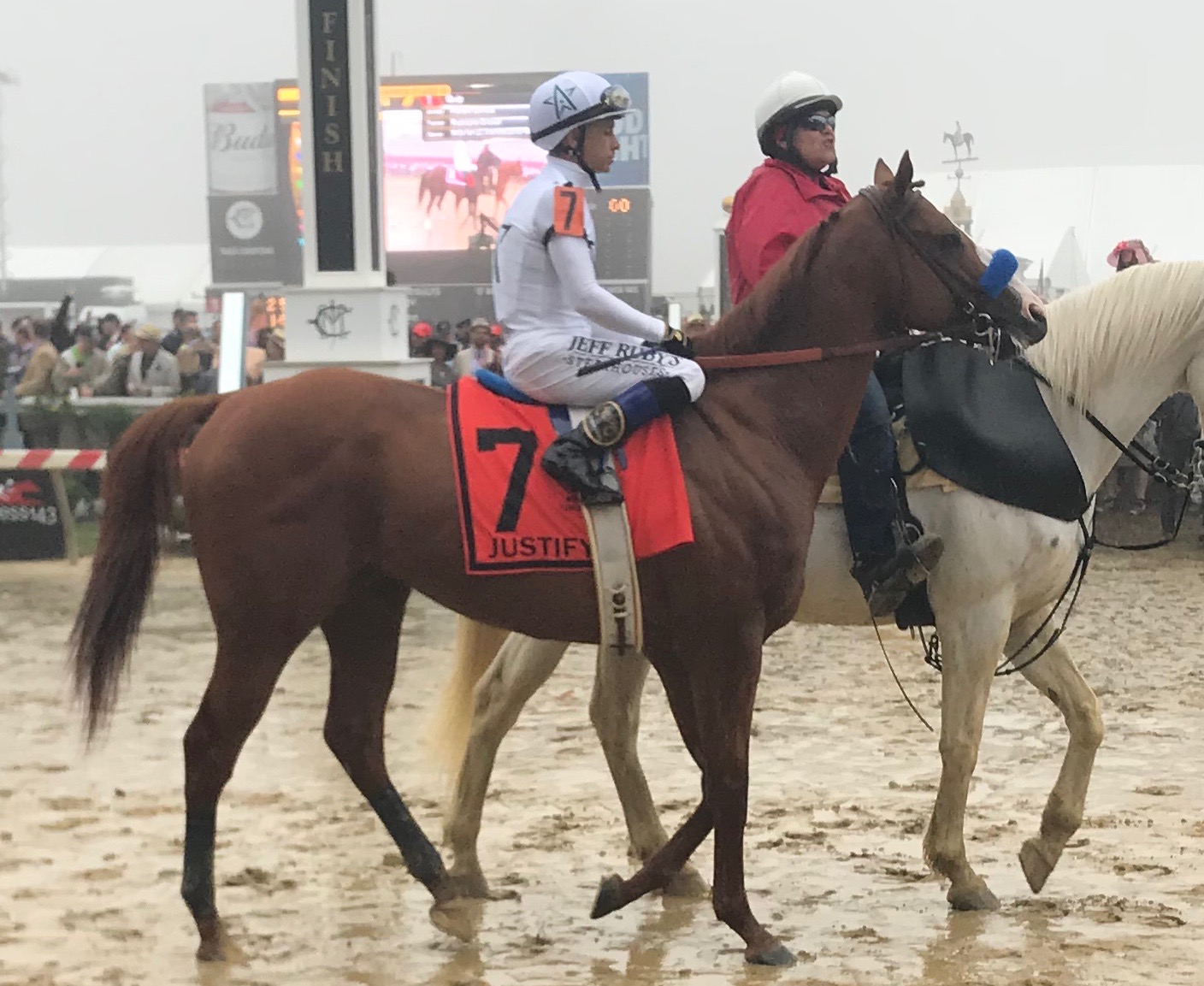 Justify, the only the second horse in history to win the Kentucky Derby and the Preakness who did not run as a two year old, on his way to the Start gate at Sunday's Preakness 