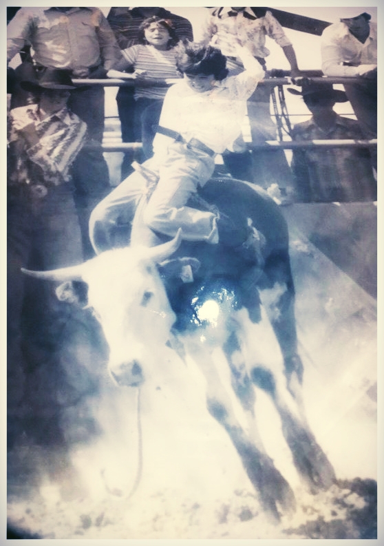 Mikesmithonbull.jpeg