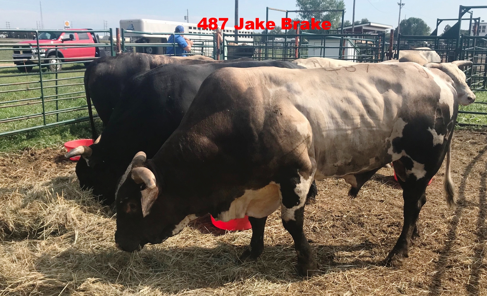 jakebrakepenshothuron.jpeg