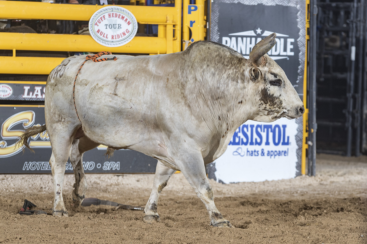 World Champion Bull Team Owners Mike Rawson and Jim Probst will have Louisville Slugger in Waterloo.