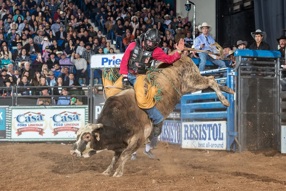 Nathan Helm Ranch Bull Riding Nicky Wheeler Memorial - Bull Spotlight — Tuff Hedeman Bull Riding