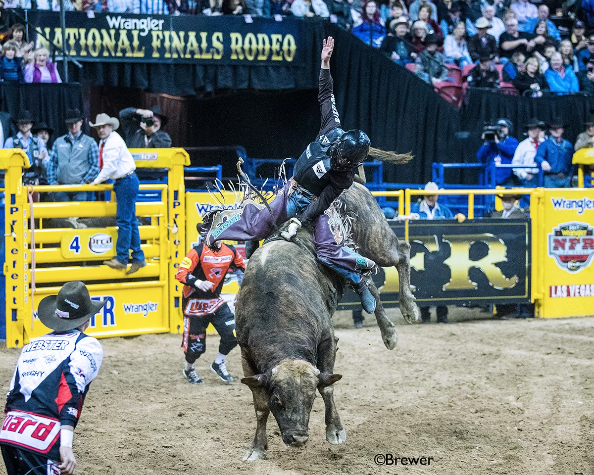 NFR Qualifier Profile Boudreaux Campbell — Tuff Hedeman Bull Riding