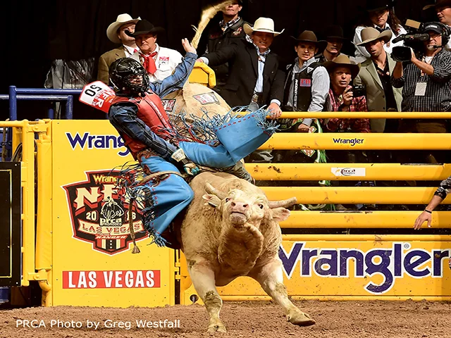 Three Time NFR Qualifier Roscoe Jarboe - New Plymouth, Idaho