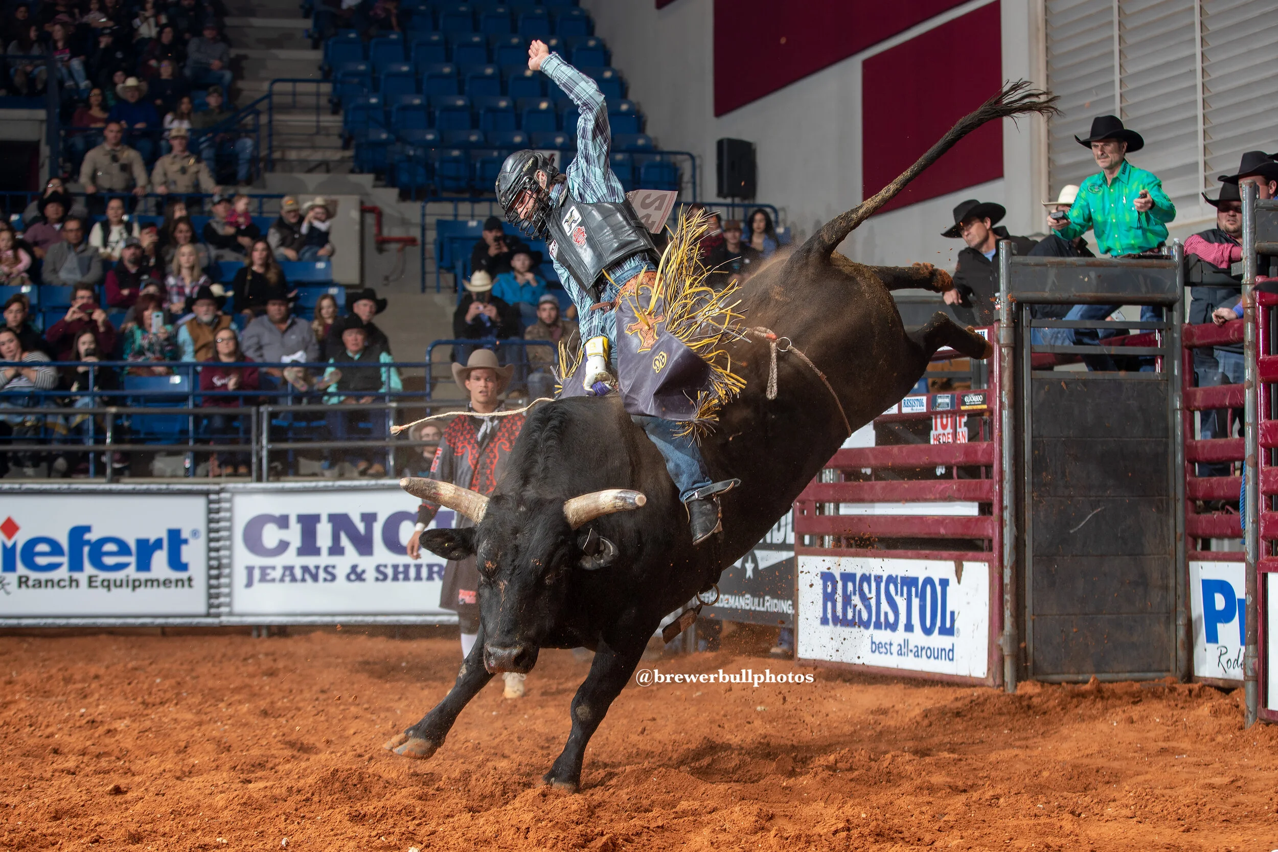 Nfr Bull Riding
