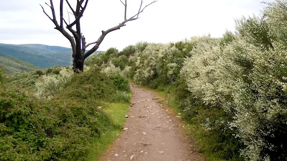 An Awakening Walk: 500 Miles to Self-Love and Acceptance on the Camino de Santiago