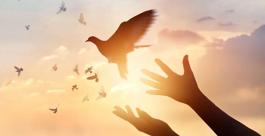 Experience Forgiveness Workshop: Sound Healing for the Broken Heart