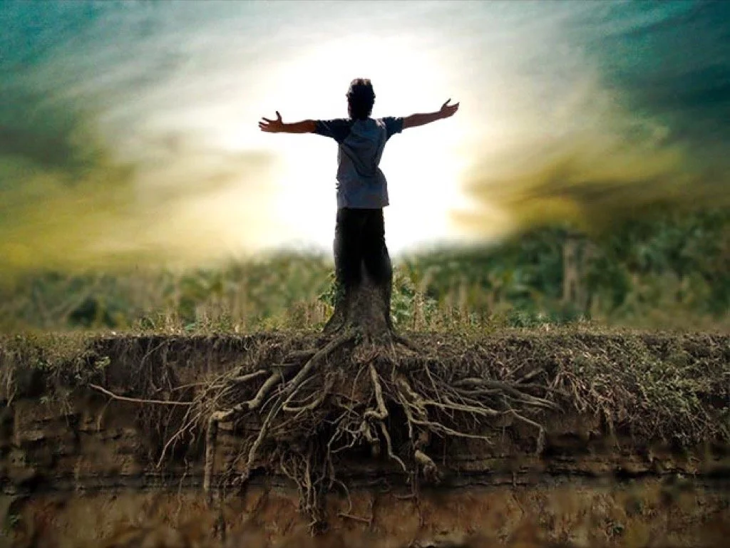 Grounding: Discover What You Ground Into