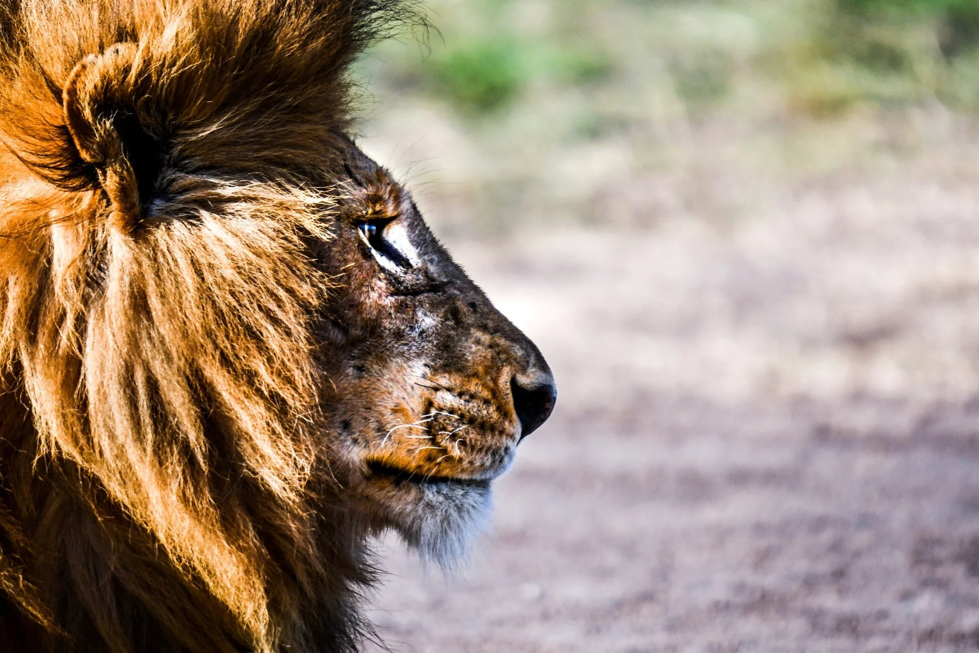 Initiate the Power of Your Leadership Archetypes