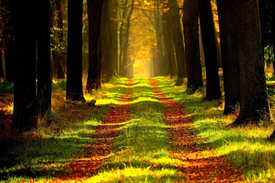 Individual Past Life Readings with Donna Hartley