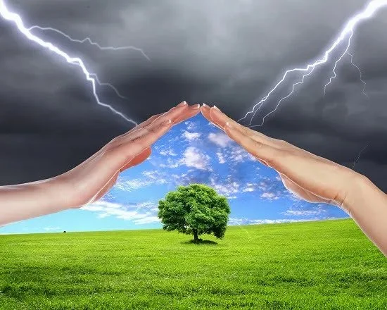 Accepting Reality One Step at a Time