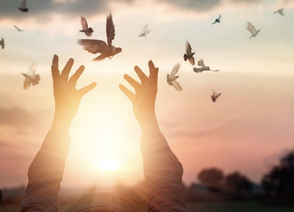 What is the True Purpose of Prayer?