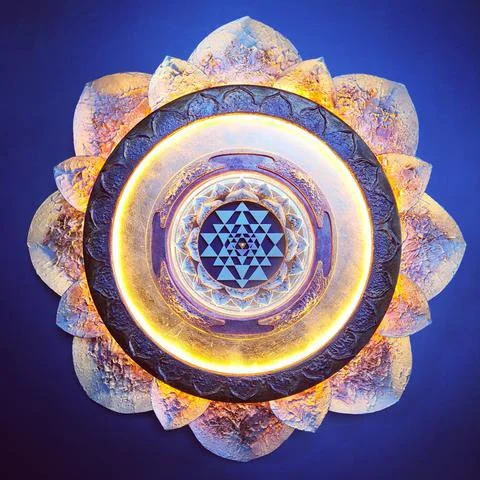 Lotus Om