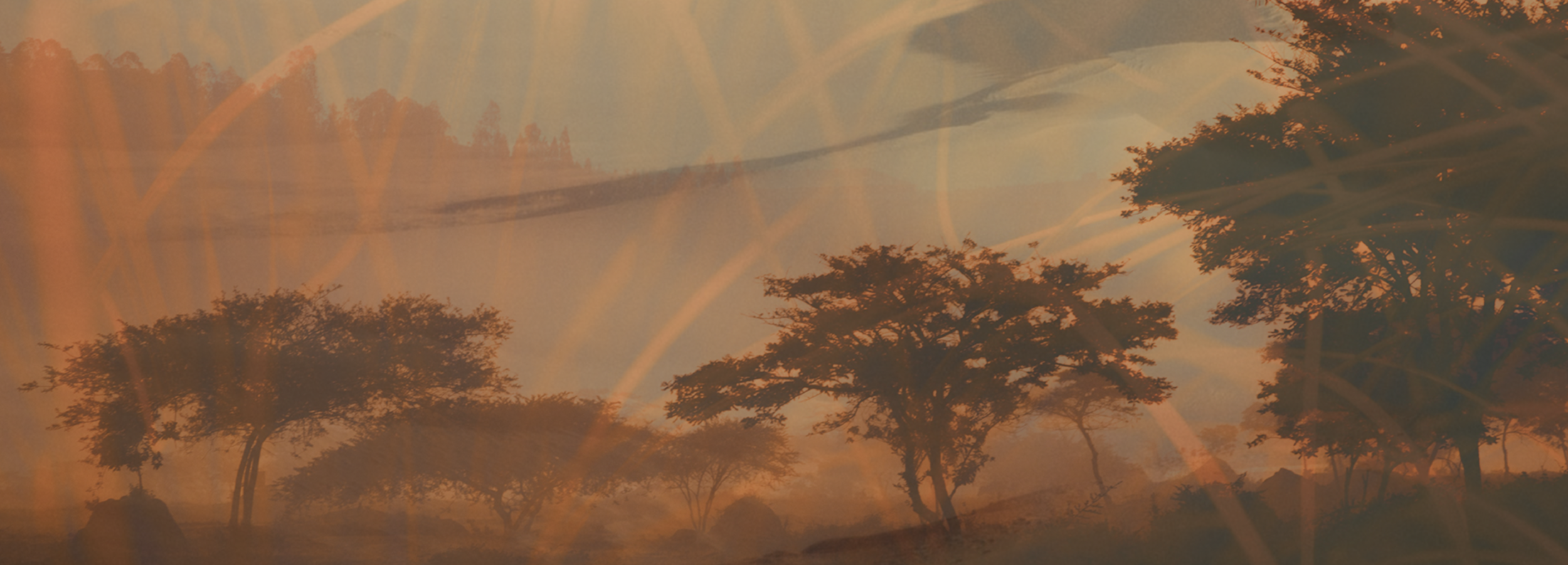 Big3-Title-Banner-web.png