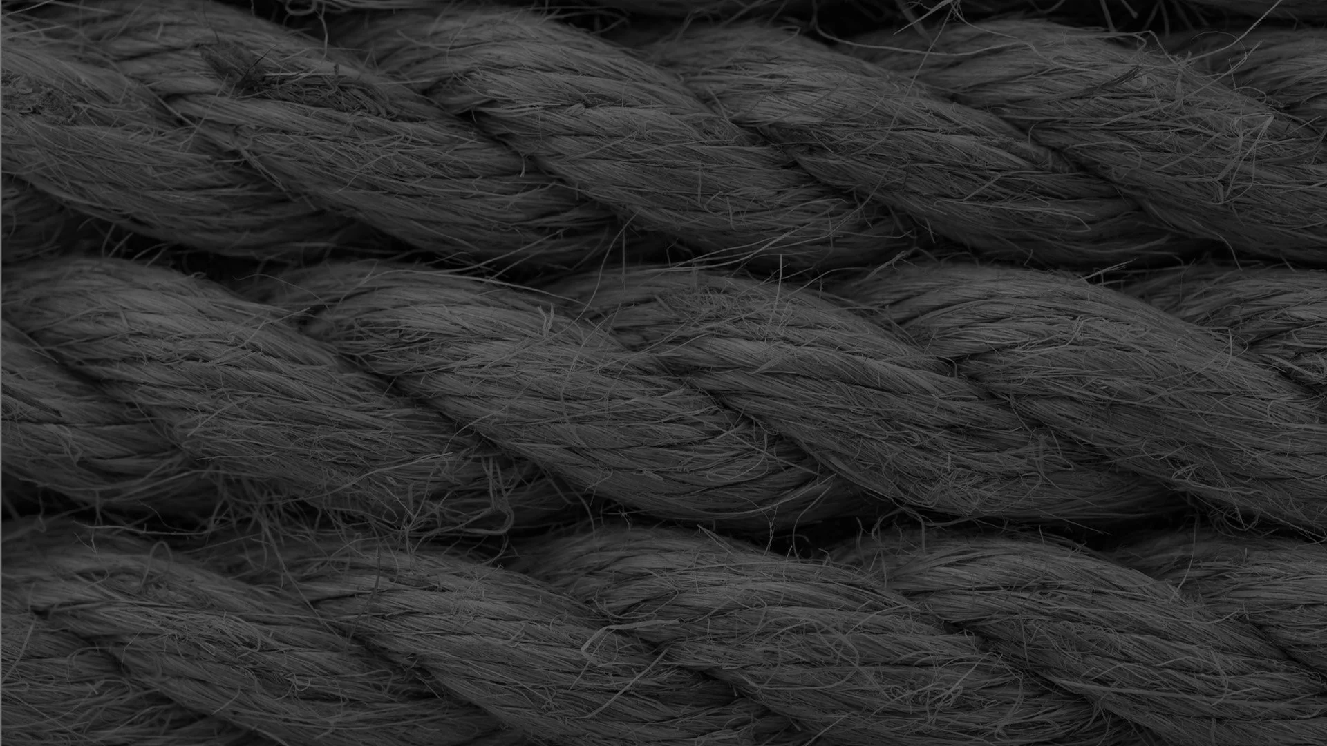 ONE-web-header.jpg