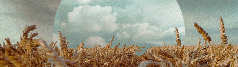 MB-web 800x225 banner.png