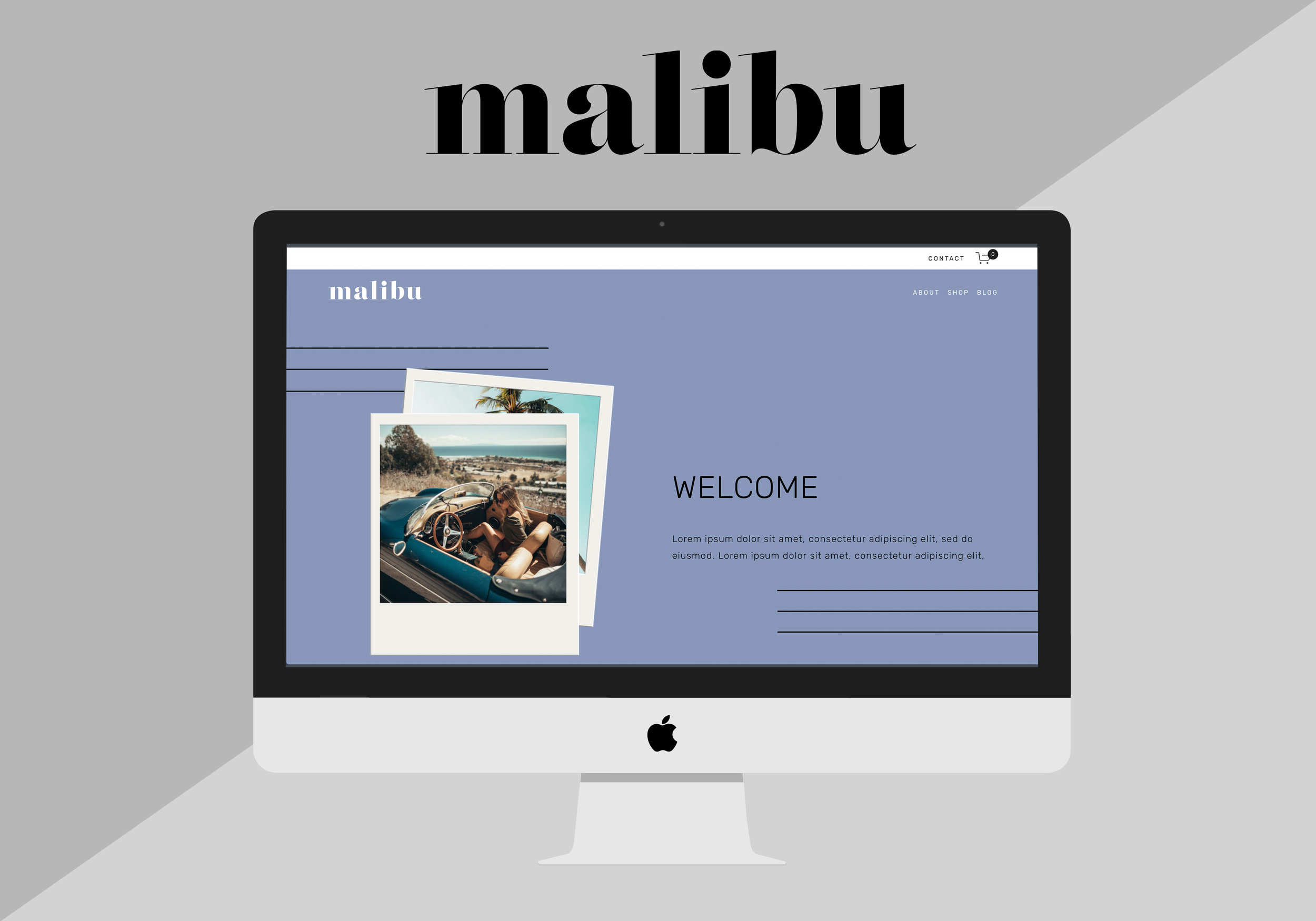 launch-with-erika-malibu-Squarespace-Template
