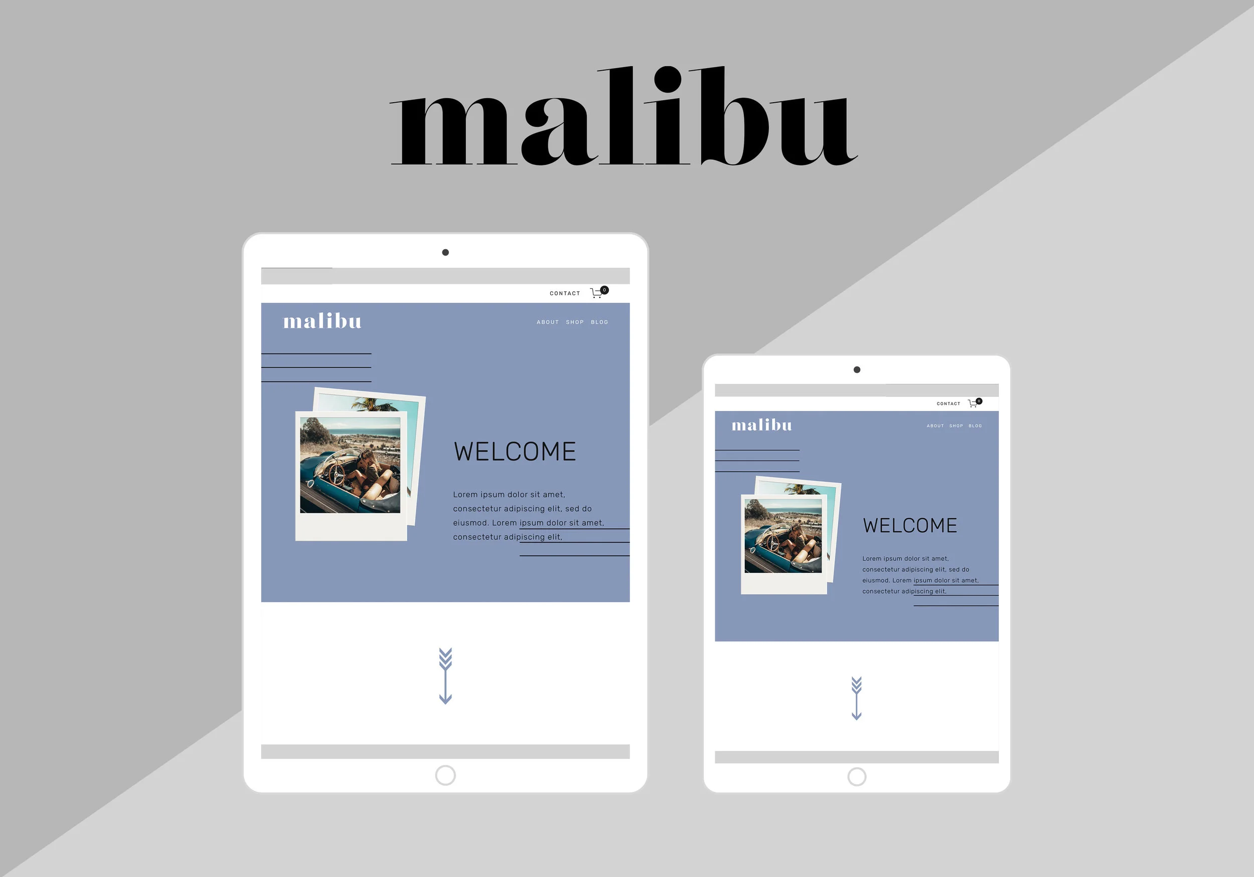 launch-with-erika-malibu-Squarespace-Template