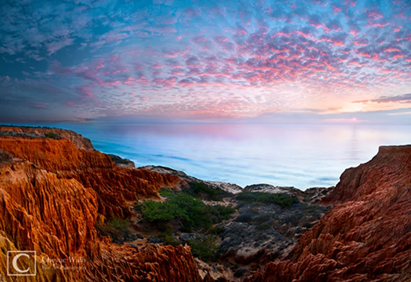 The Edge by Cheyne Walls