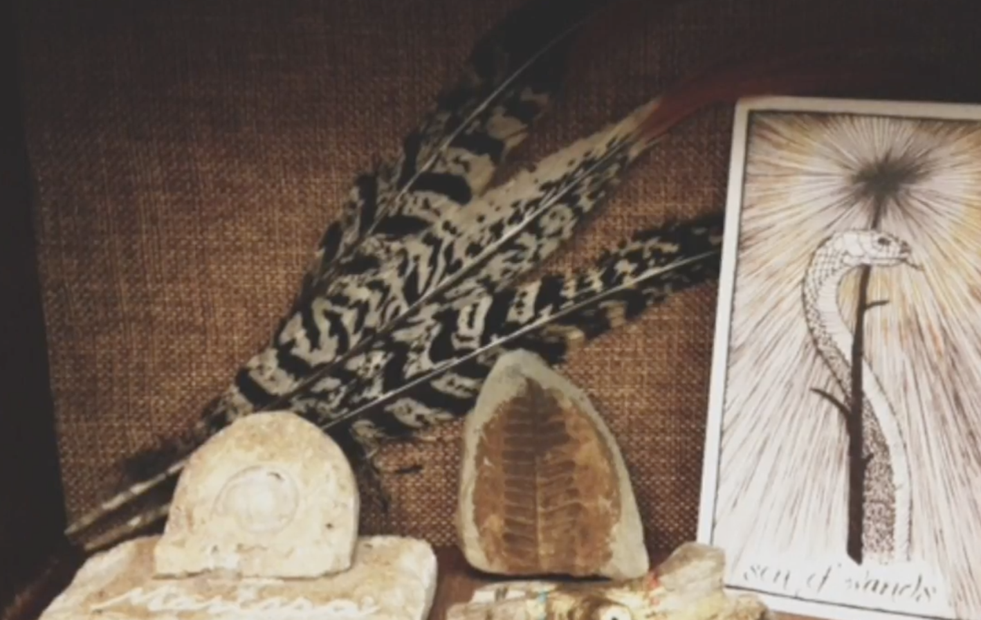 Gratitude For Illness - A Short Meditation , Sarah Small