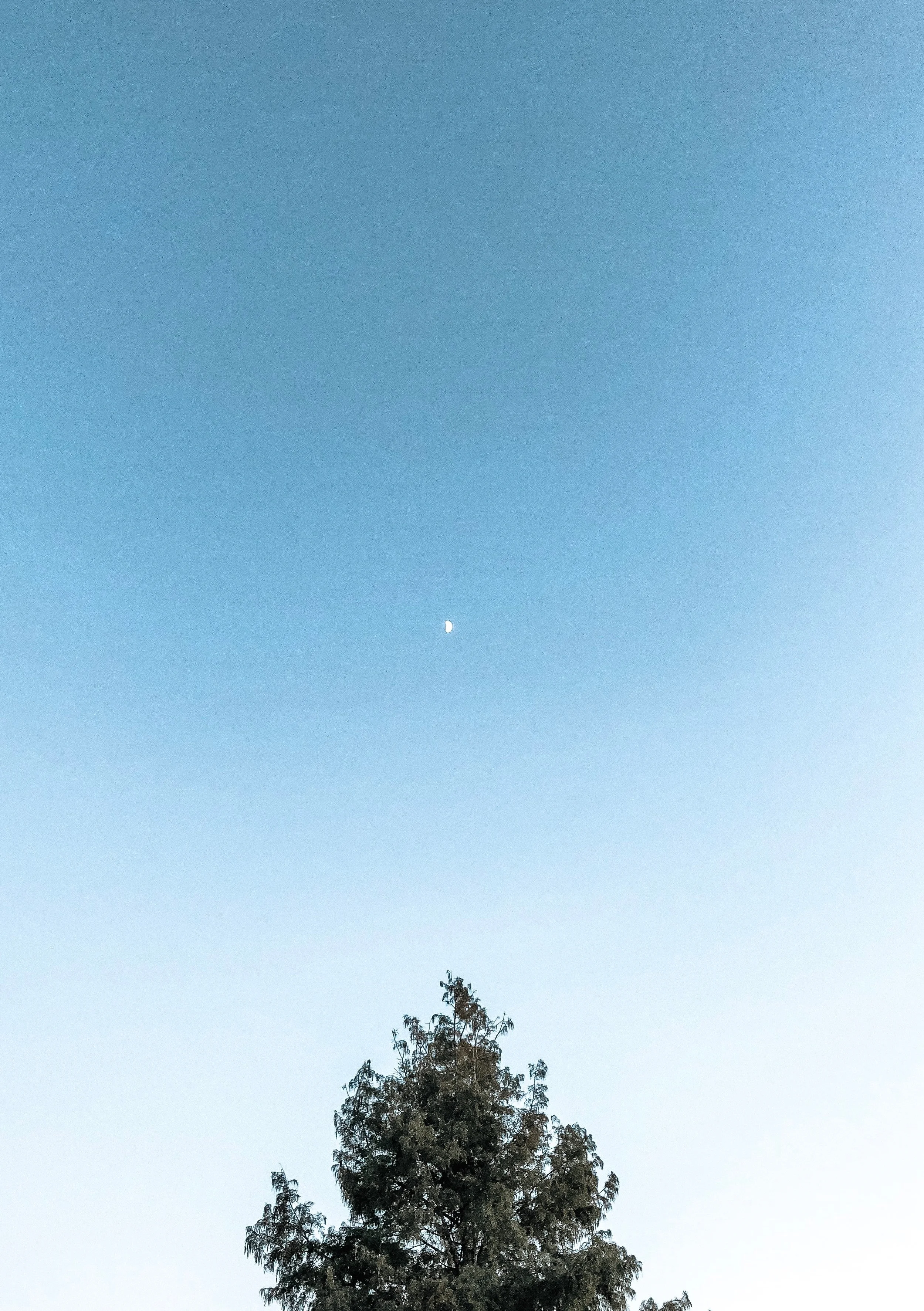 Nola+sky.jpg