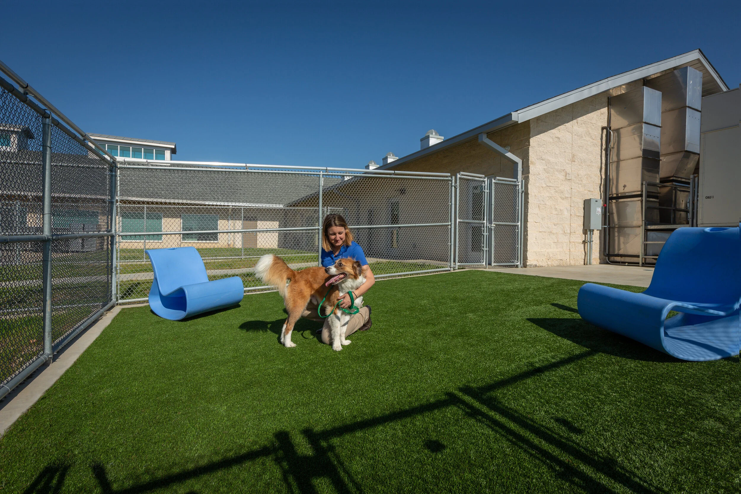 Prairie Paws Animal Shelter & Adoption Center — Prairie Paws Animal