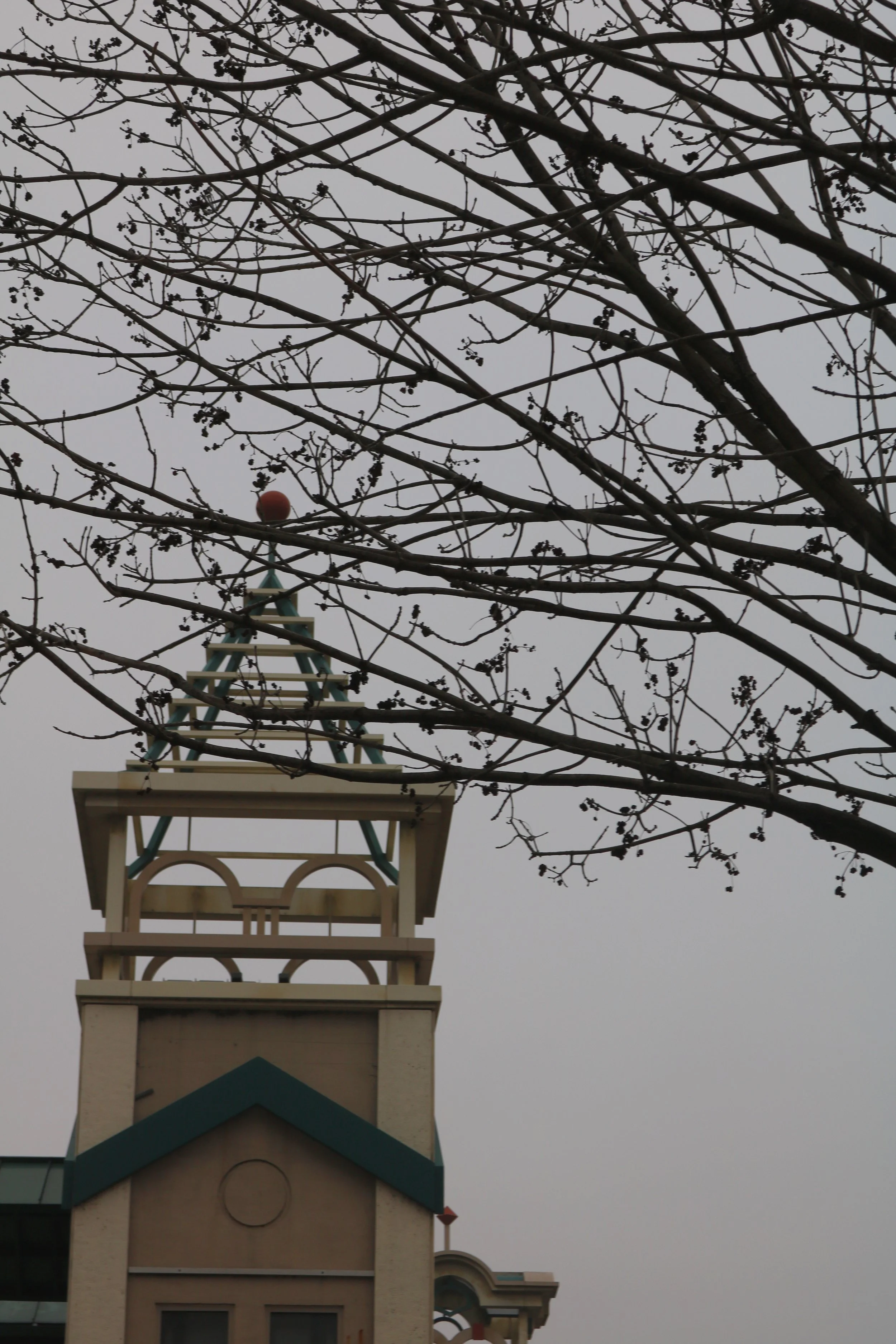 5F7DCC78-56ED-44F0-8D3D-F18859B443AD copy 2.JPG