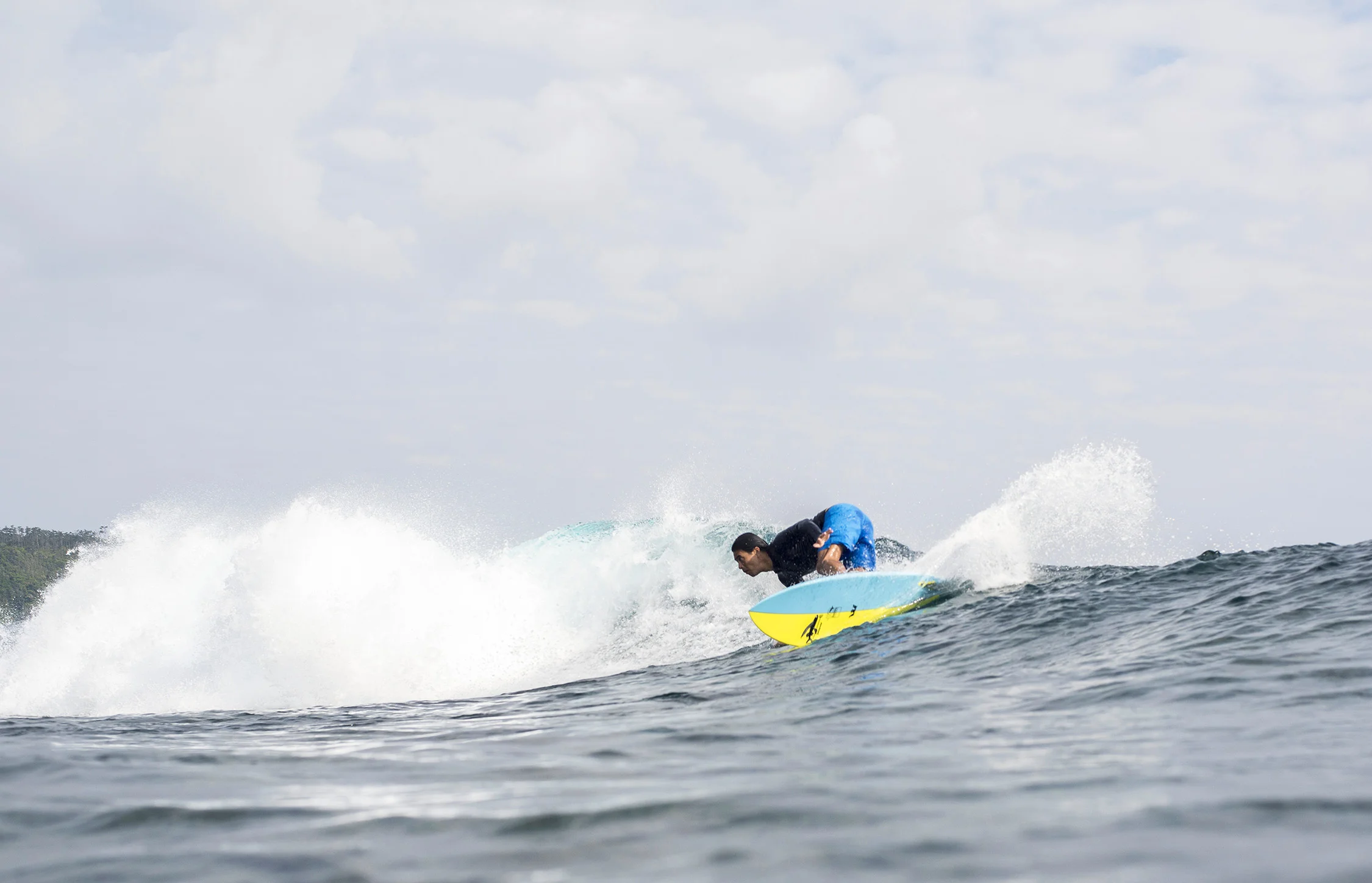 Fish — FCD Surfboards