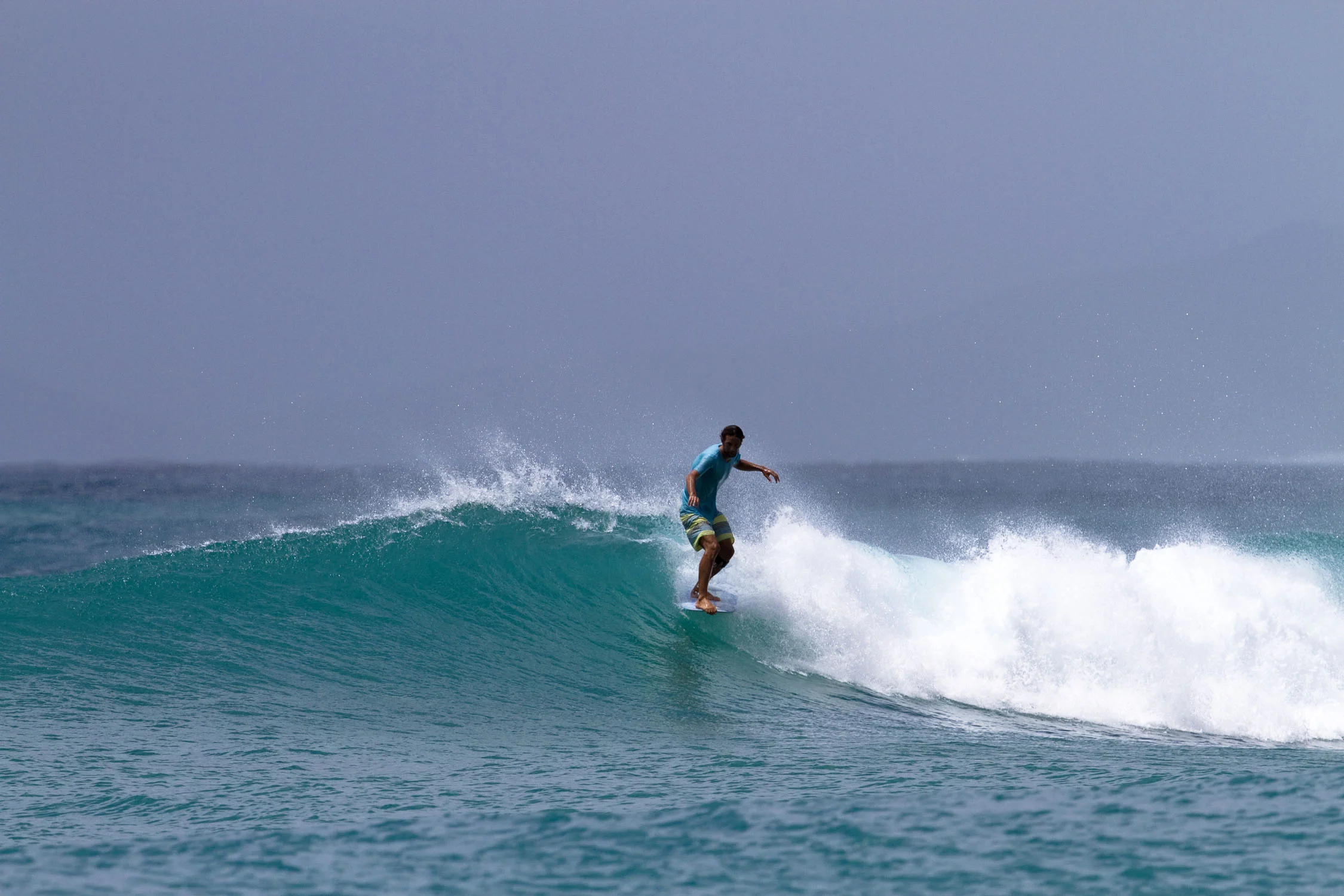 Noseglider — FCD Surfboards