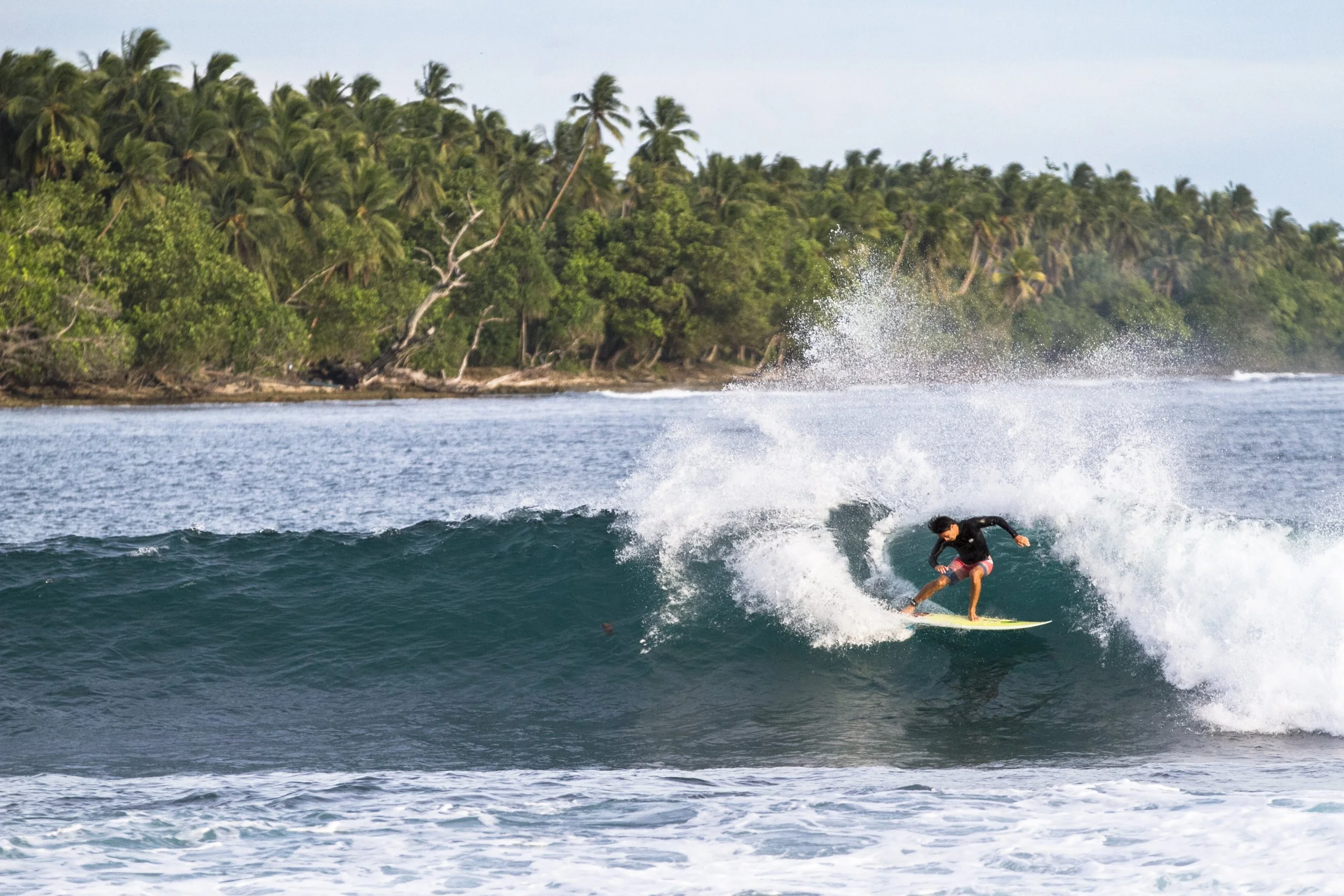 FCD Surfboards