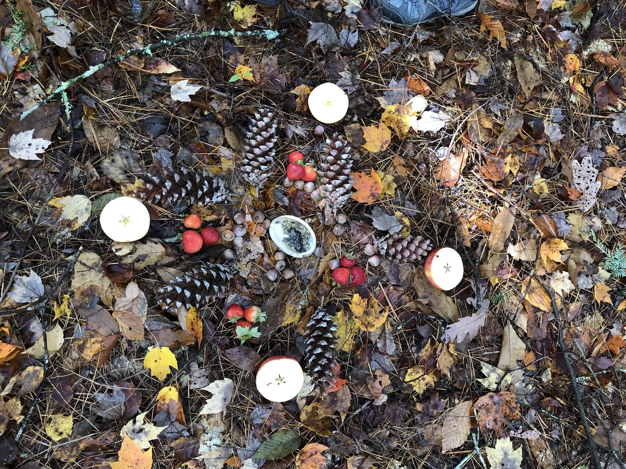 Land and Nature Spirit Altar created at a Land Blessing