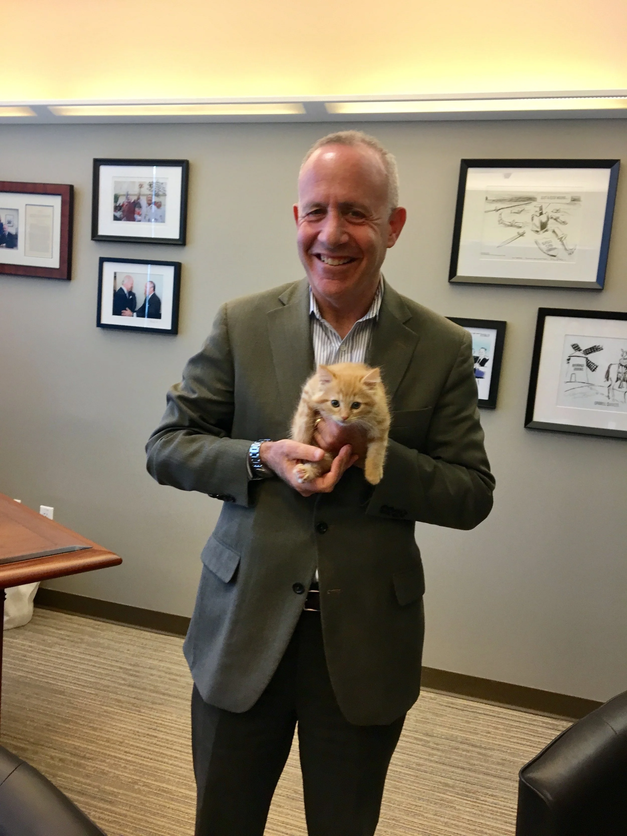MDS & Kitten.jpg