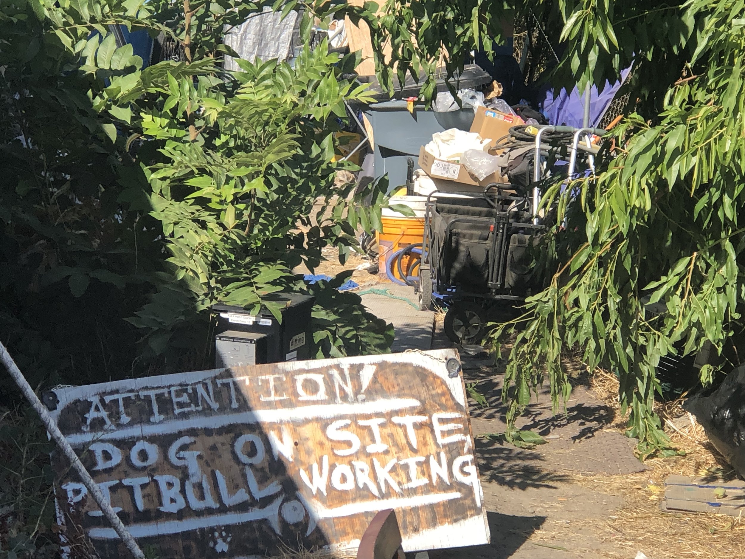 A homeless camp in south Sacramento
