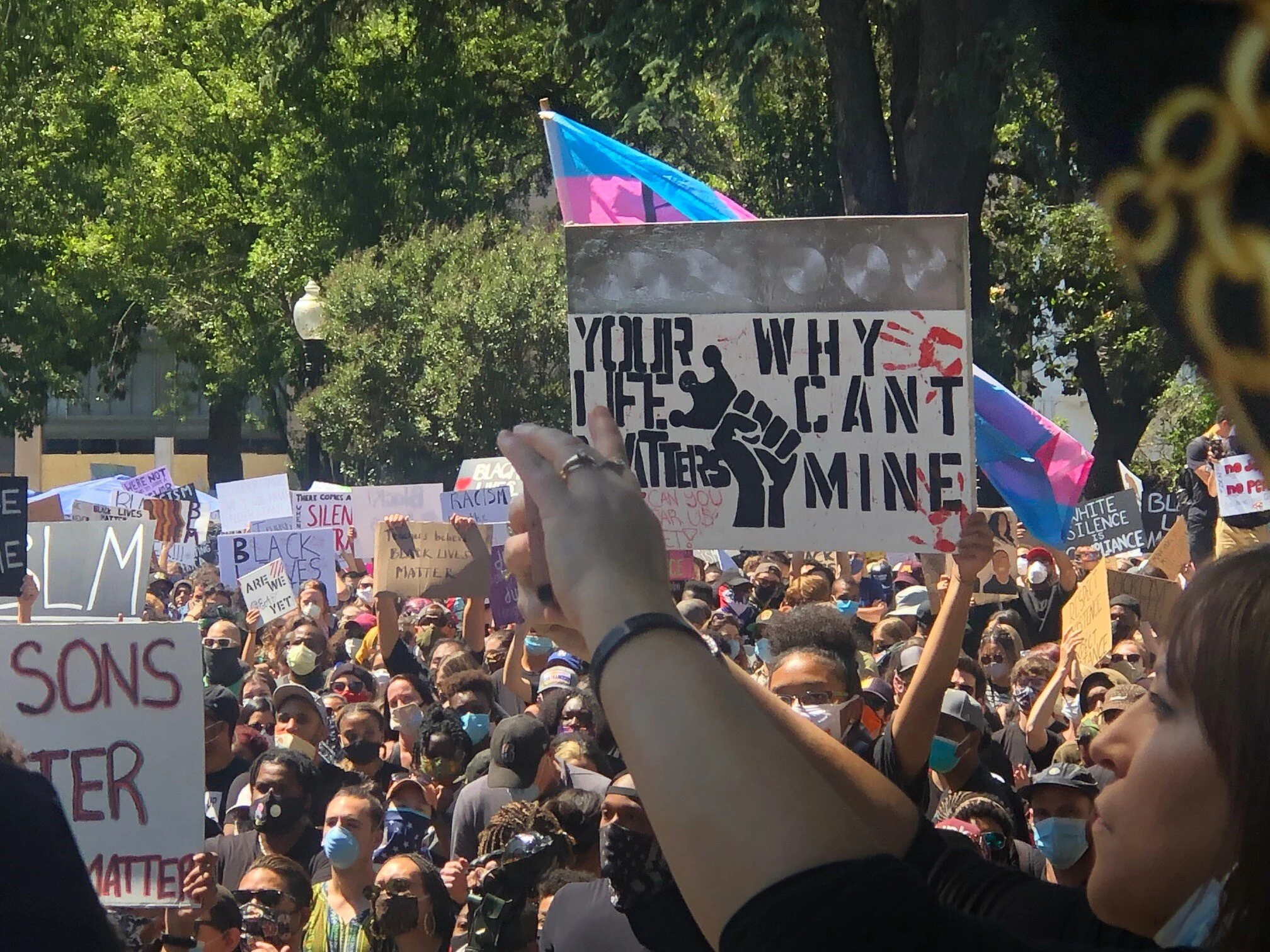 protest photo with signs.jpg