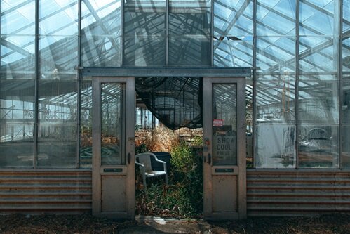 Tree nursery in Mangan Park will become a youth education and farming hub