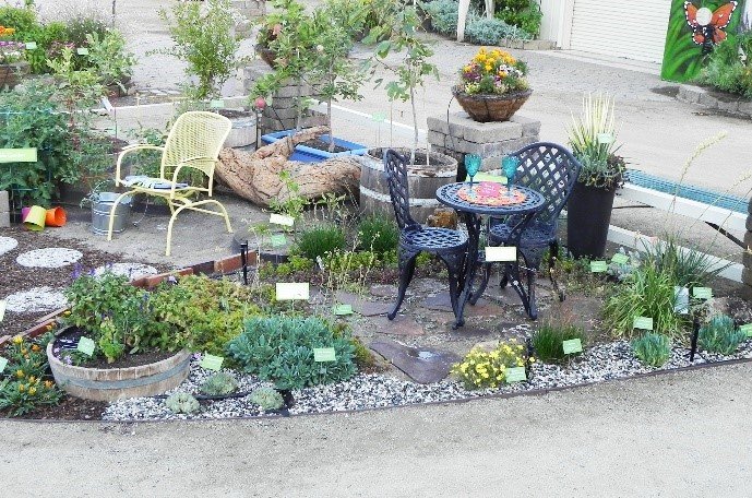 Want To Tear Out Your Thirsty Lawn, Rebates For Drought Tolerant Landscaping