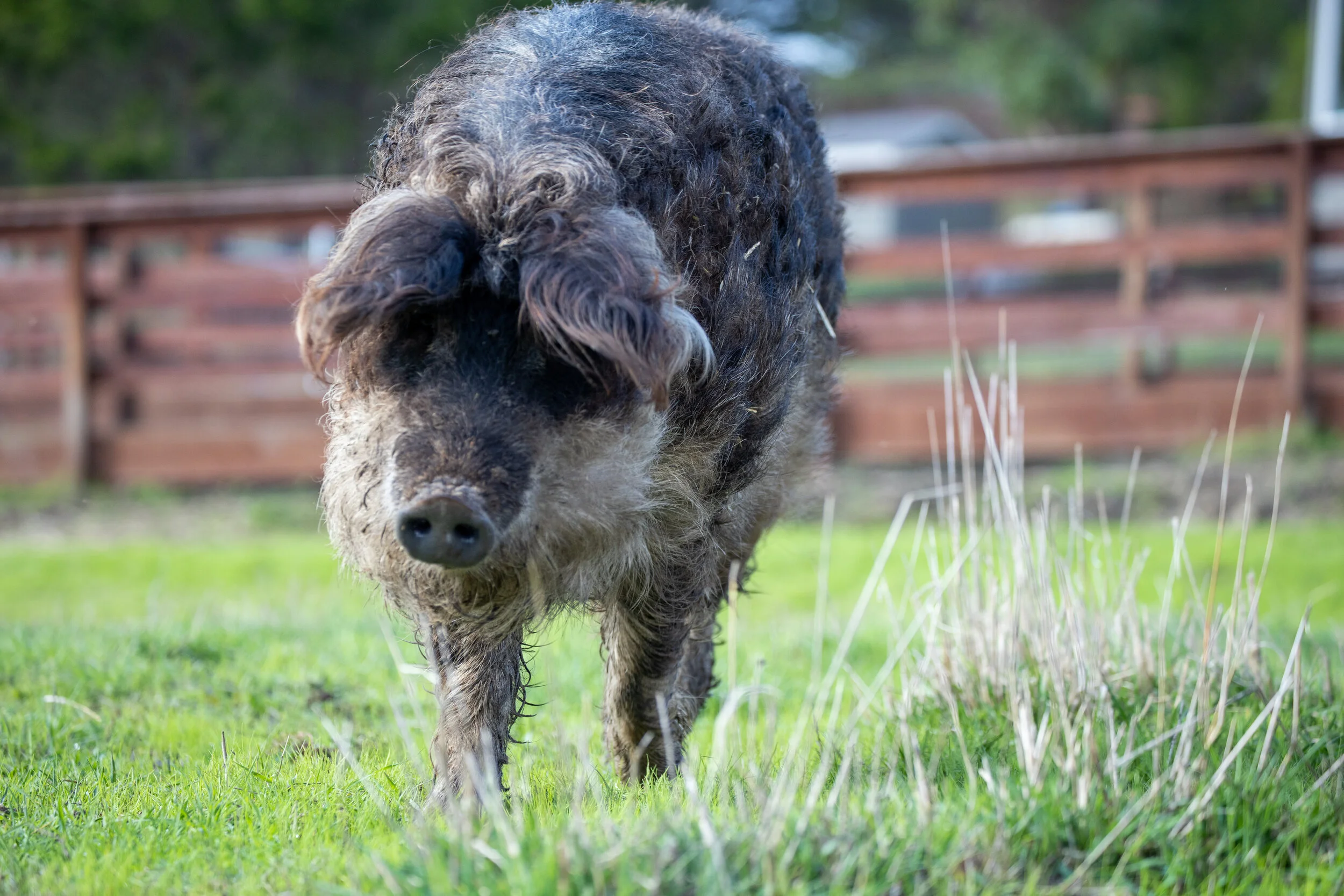 First Convert_8 (1).jpg