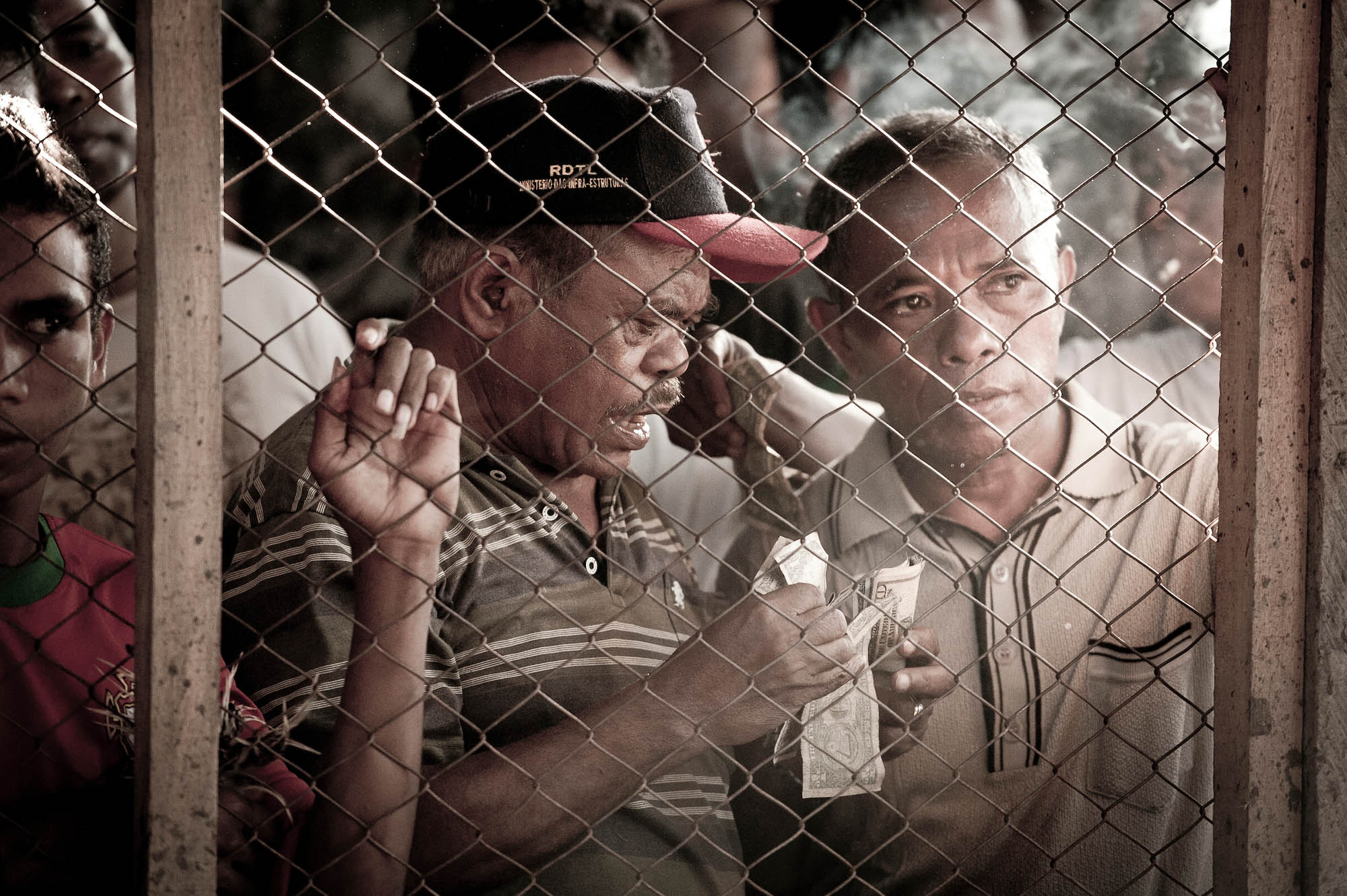 Cockfight - Timor Leste