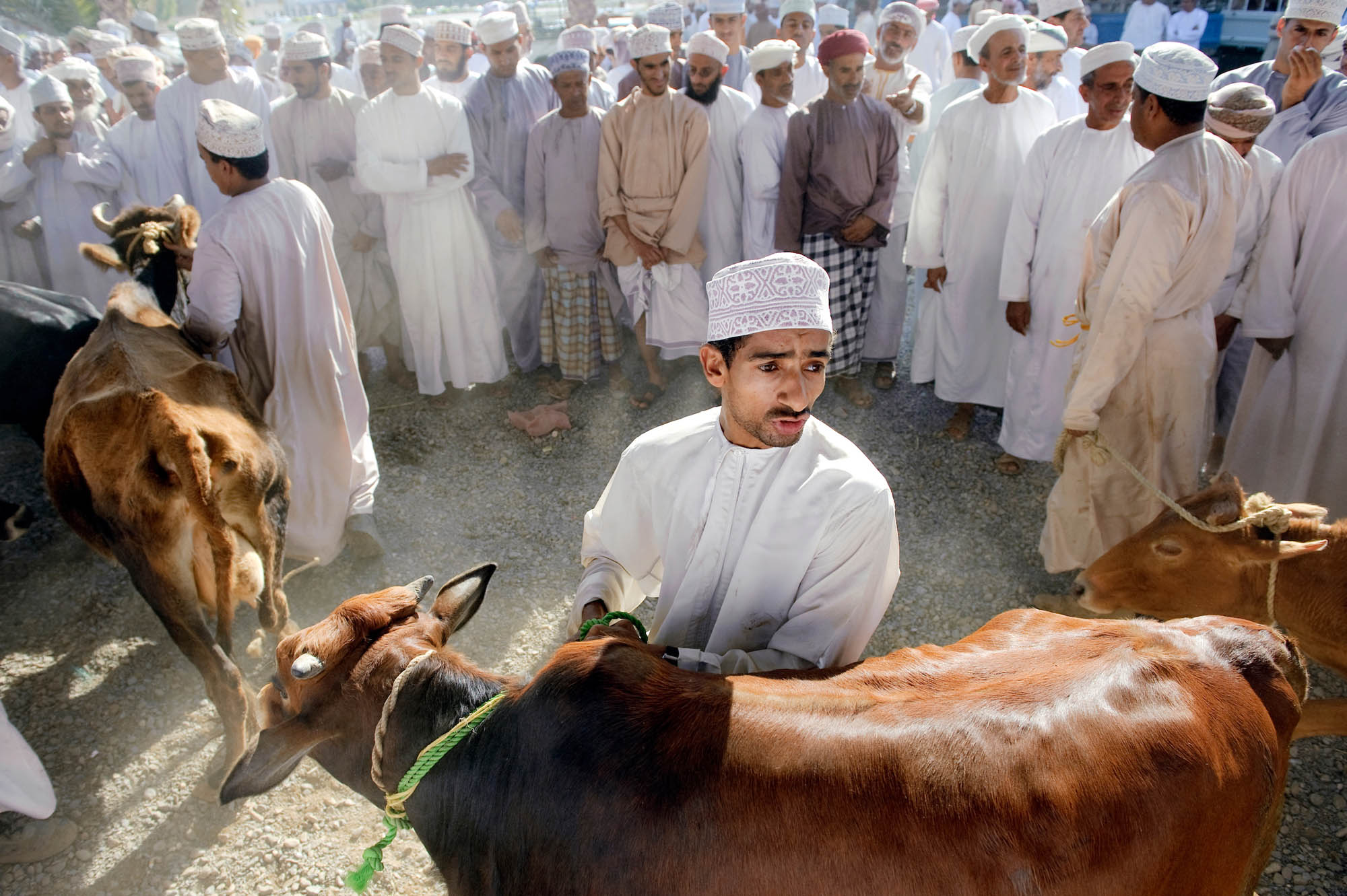 Animal market in Nizwa city - Oman