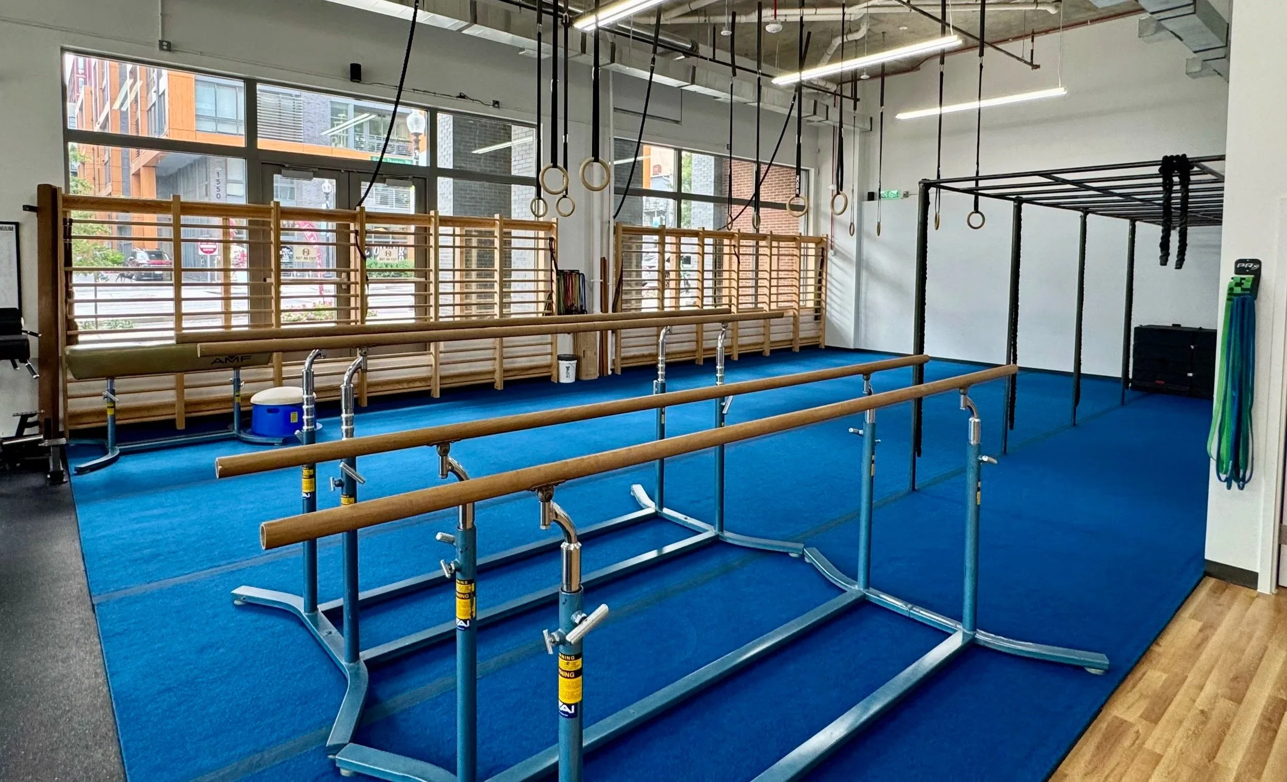 Inside of Physicality DC has stall bars, rings, monkey bars, and parallel bars, along with a weightroom.