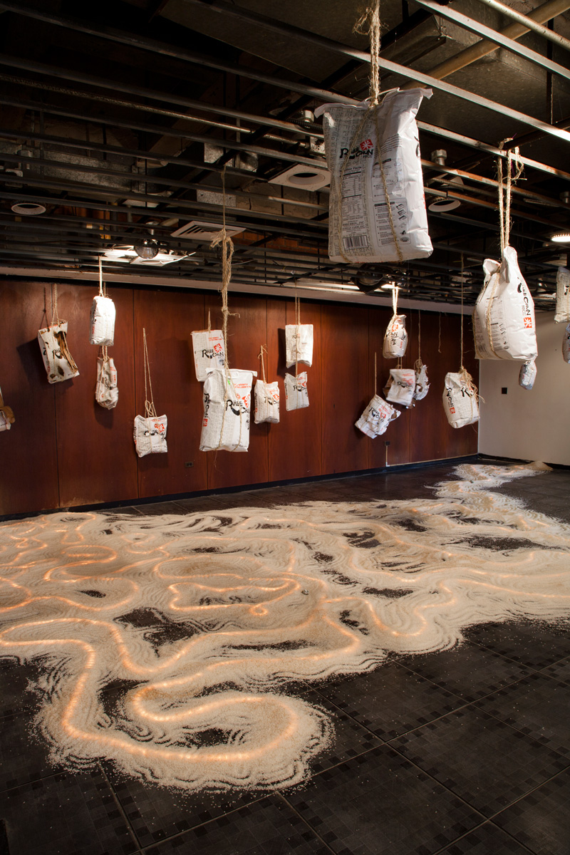   변화된 땅 Shifting Landscape , vary, rice, dollar bills, LED light, 2013 