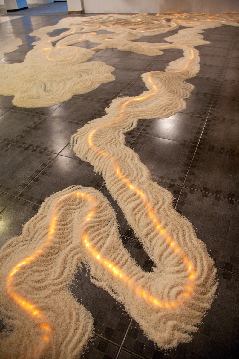   변화된 땅 Shifting Landscape , vary, rice, dollar bills, LED light, 2013 