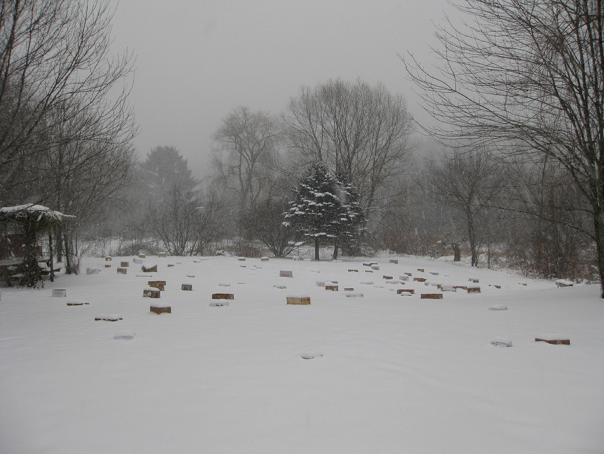   108 Tormented Empty Boxes , vary, recycled boxes, 2009 