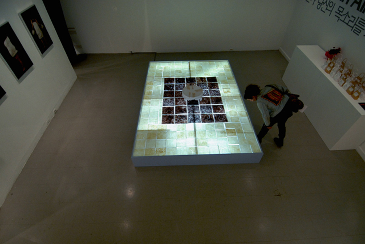   Who Is Coming To Dinner? , 16x120x84”, cooked rice, metal mesh, wood, LED light, plexiglas, 2009 