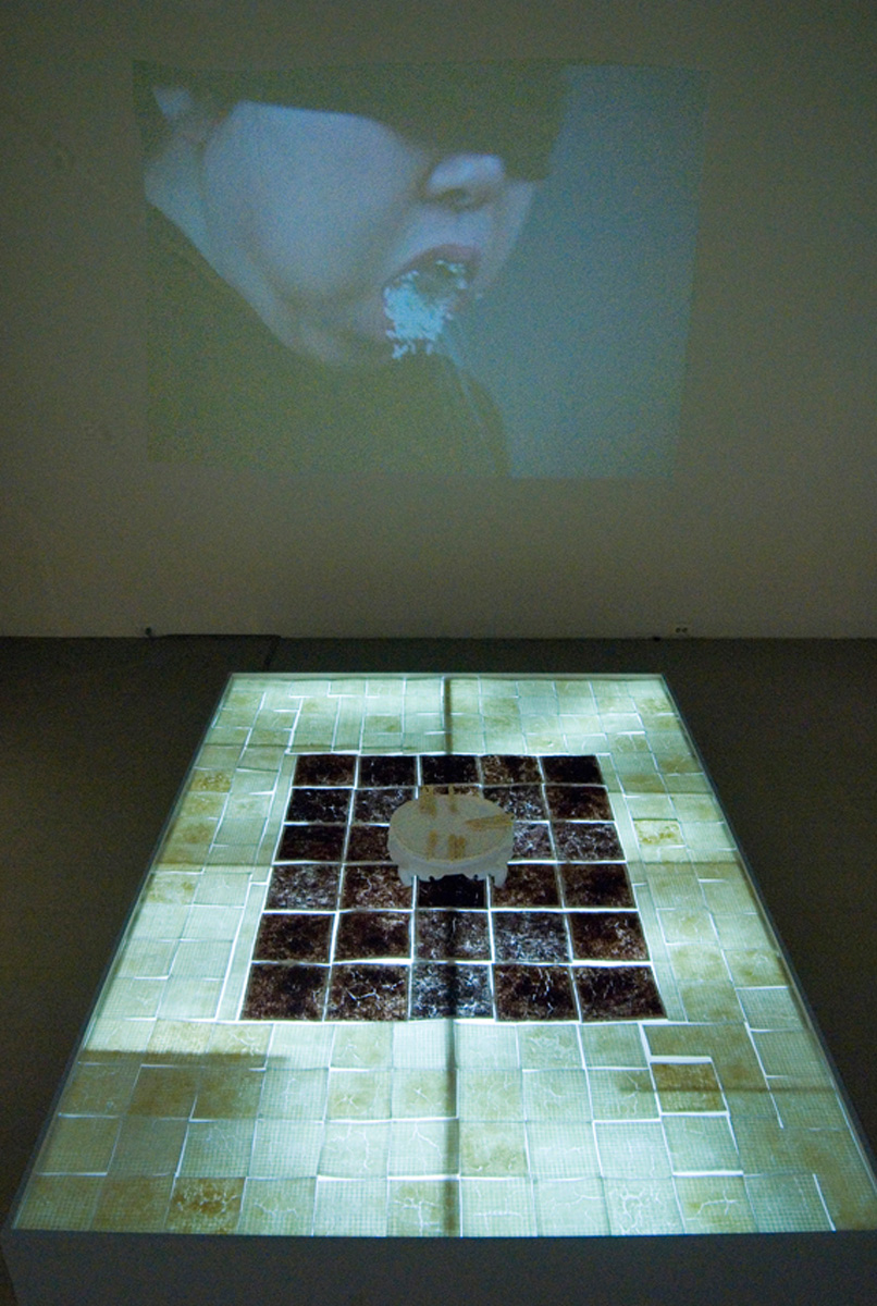   Who Is Coming To Dinner? , 16x120x84”, cooked rice, metal mesh, wood, LED light, plexiglas, 2009 